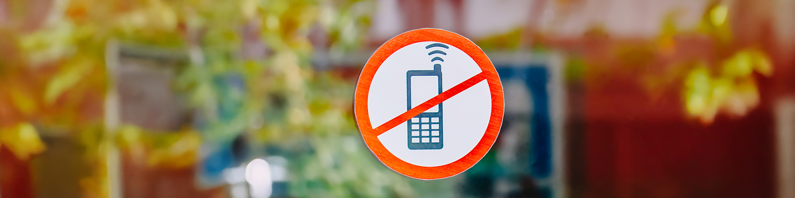 No-phone symbol in front of a blurred outdoor background, representing digital burnout awareness and the need for tech-free moments