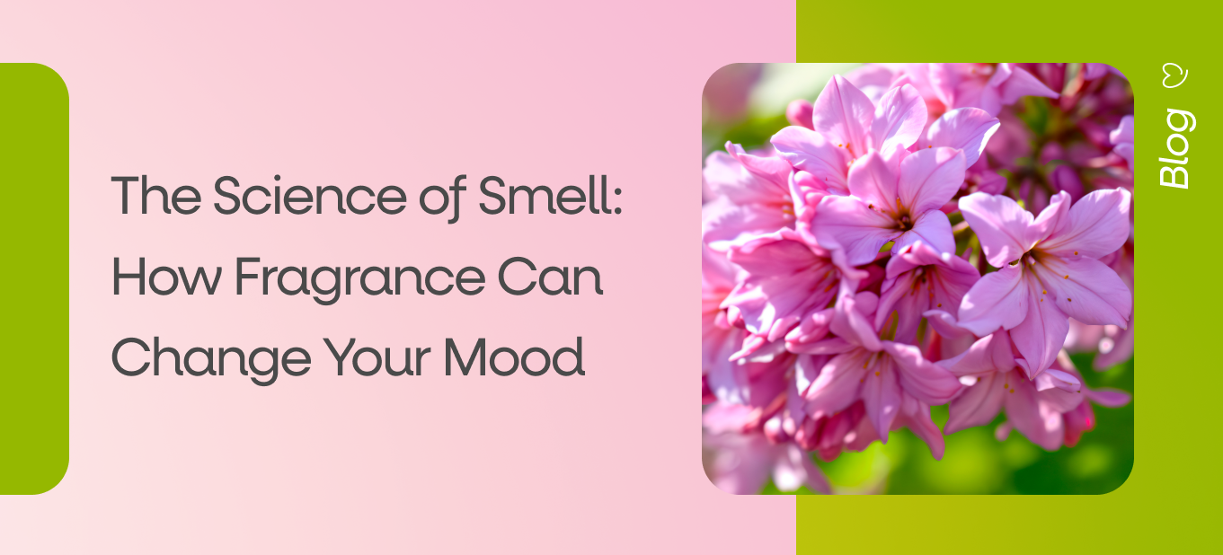 psychology of smell